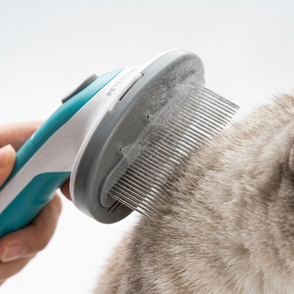 Steam brush mist and comb detail